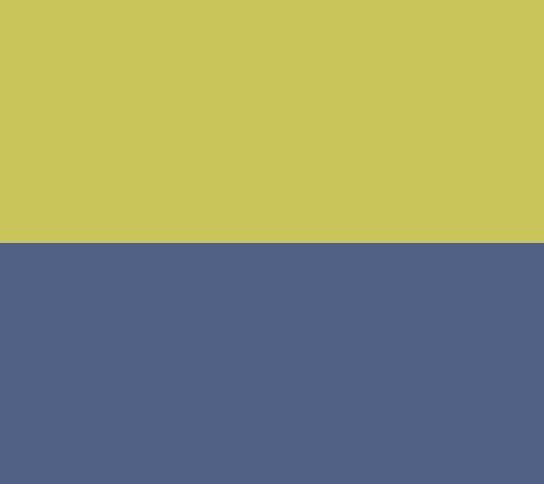 Yellow/Blue