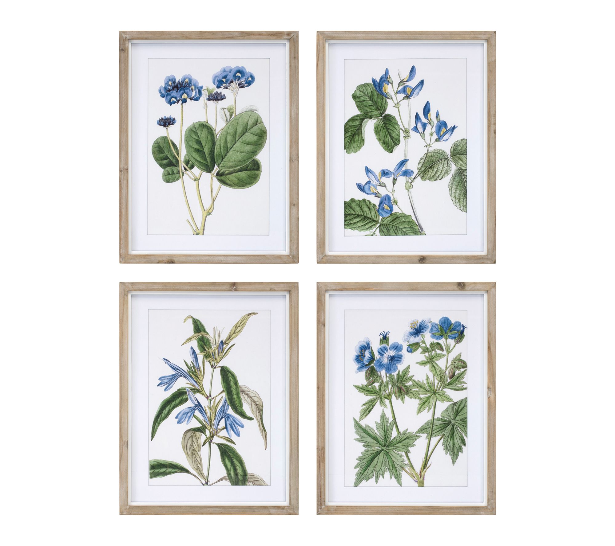Melrose International Wood Framed Floral Print(Set of 4)