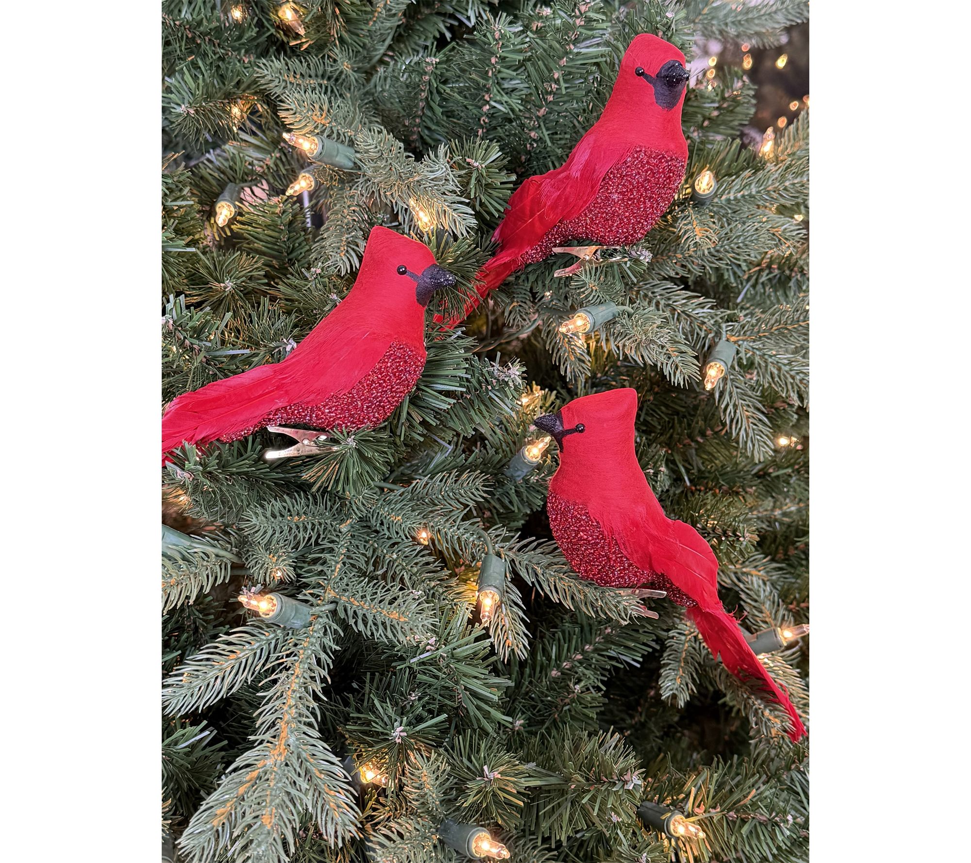 Simply Stunning Set of 3 Winter Cardinal Clips by Janine Graff