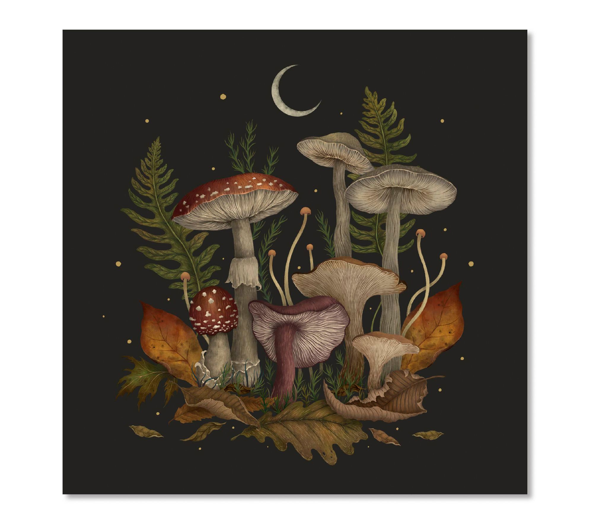 Courtside Market Autumn Mushrooms Gallery-Wrapped Canvas