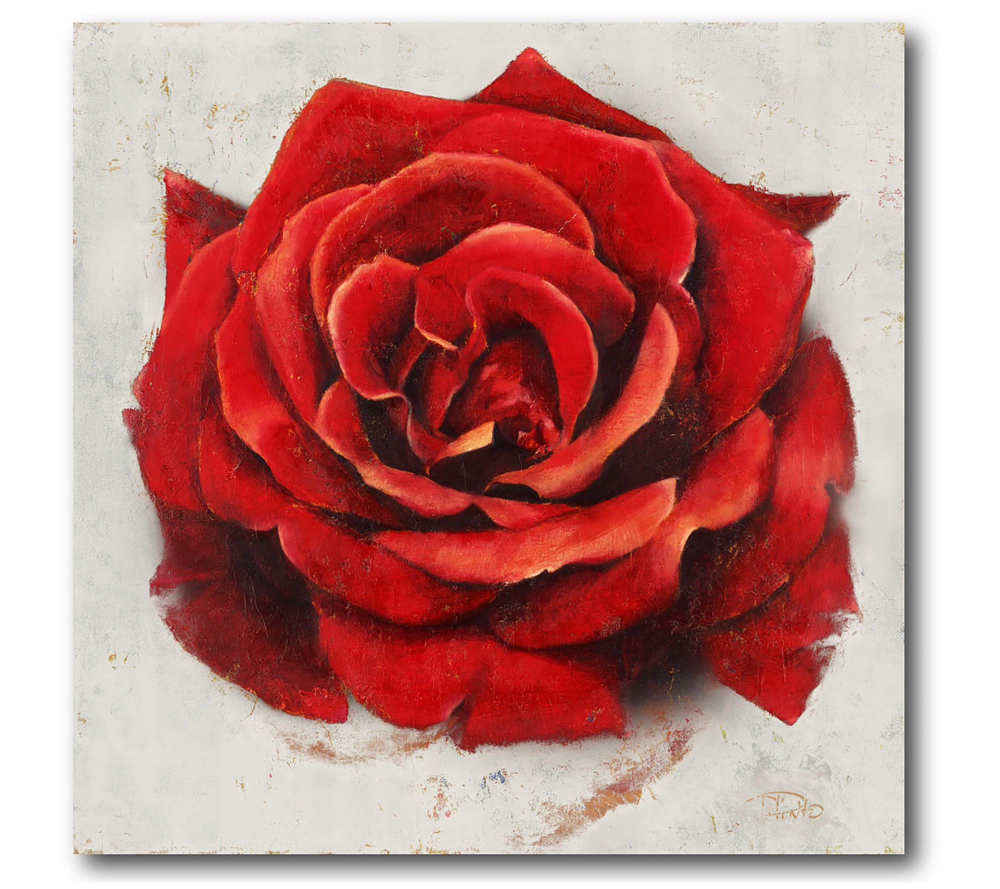 Courtside Market Romantic Rose 16x16 Canvas Wall Art