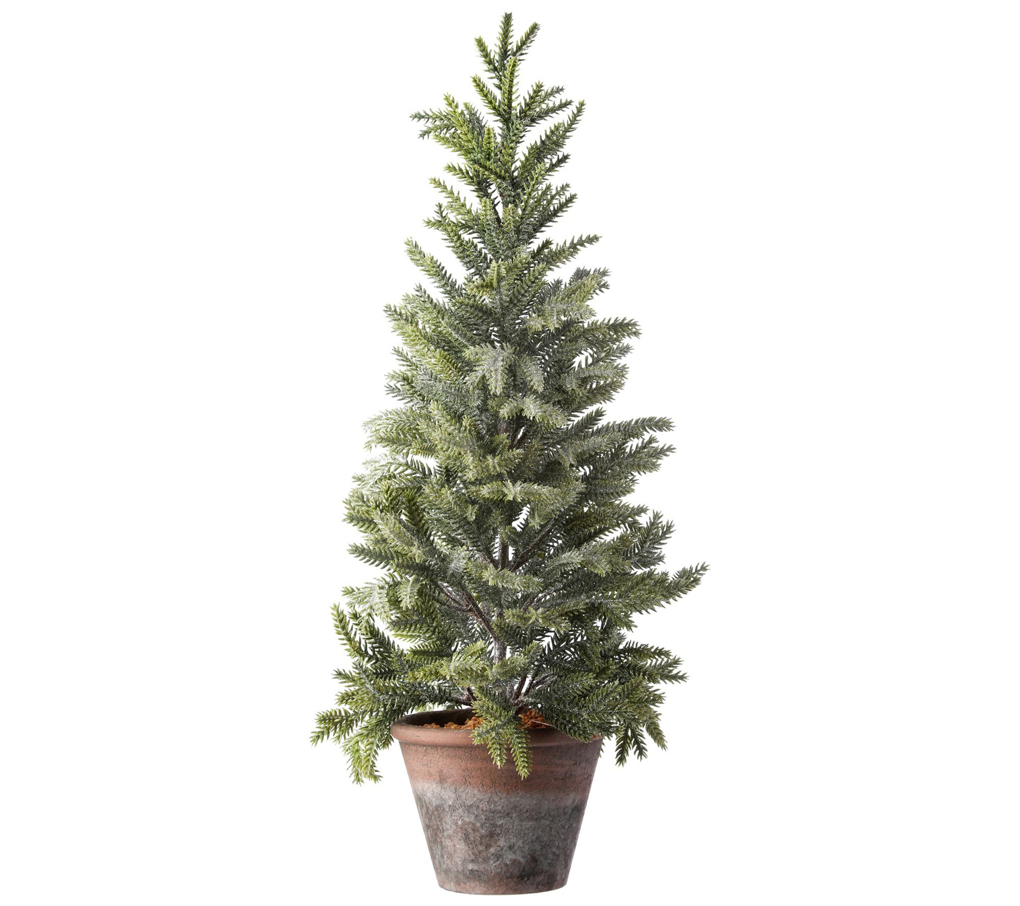 24" Potted Frosted Mini Spruce Tree by Valerie Set of 2