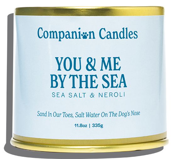 Companion Candles 12 oz Everyday Candles