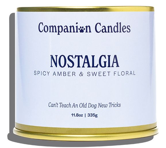 Companion Candles 12 oz Everyday Candles