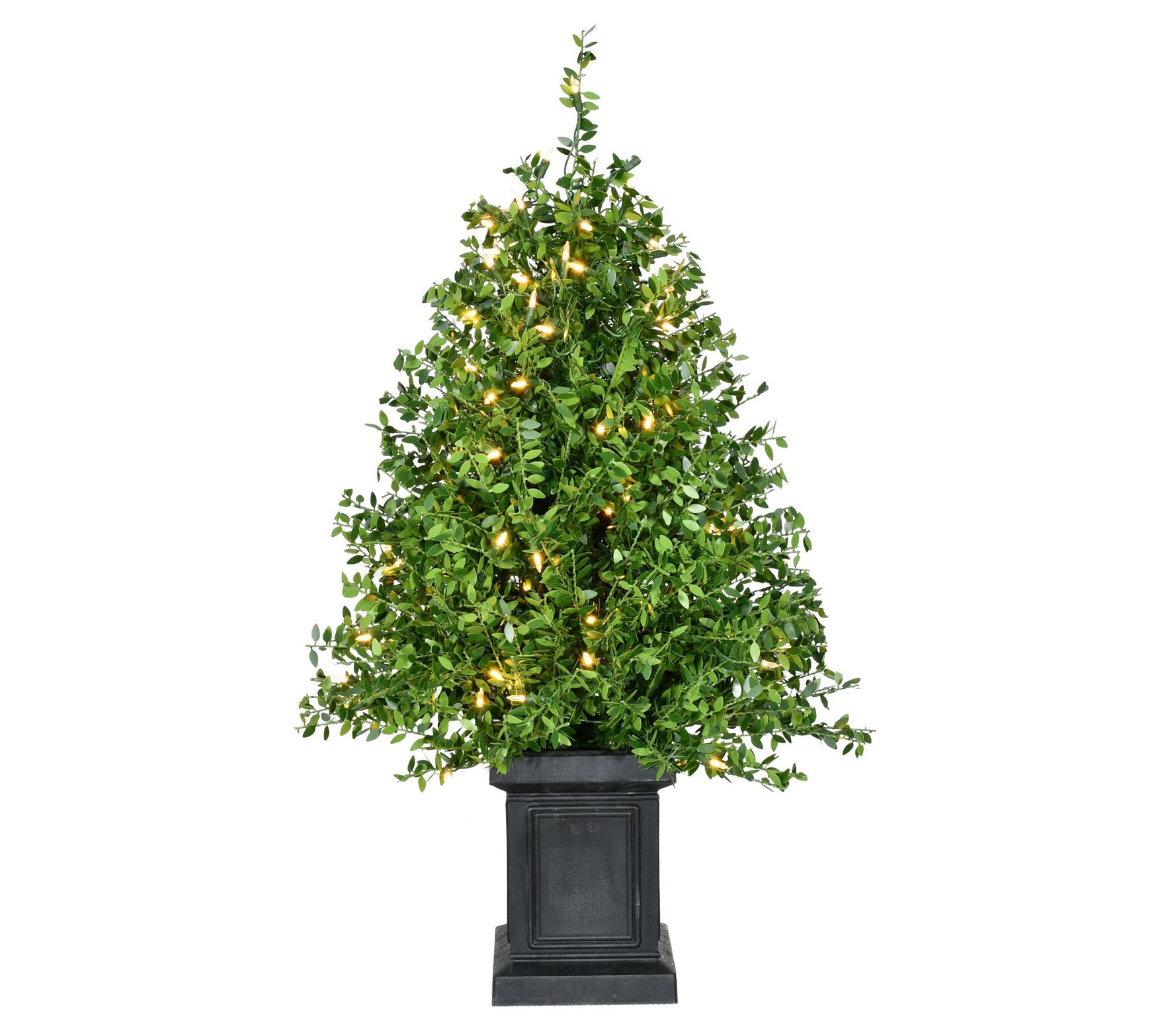 Fraser Hill Farm 3-Ft. Boxwood Porch Tree in Pot