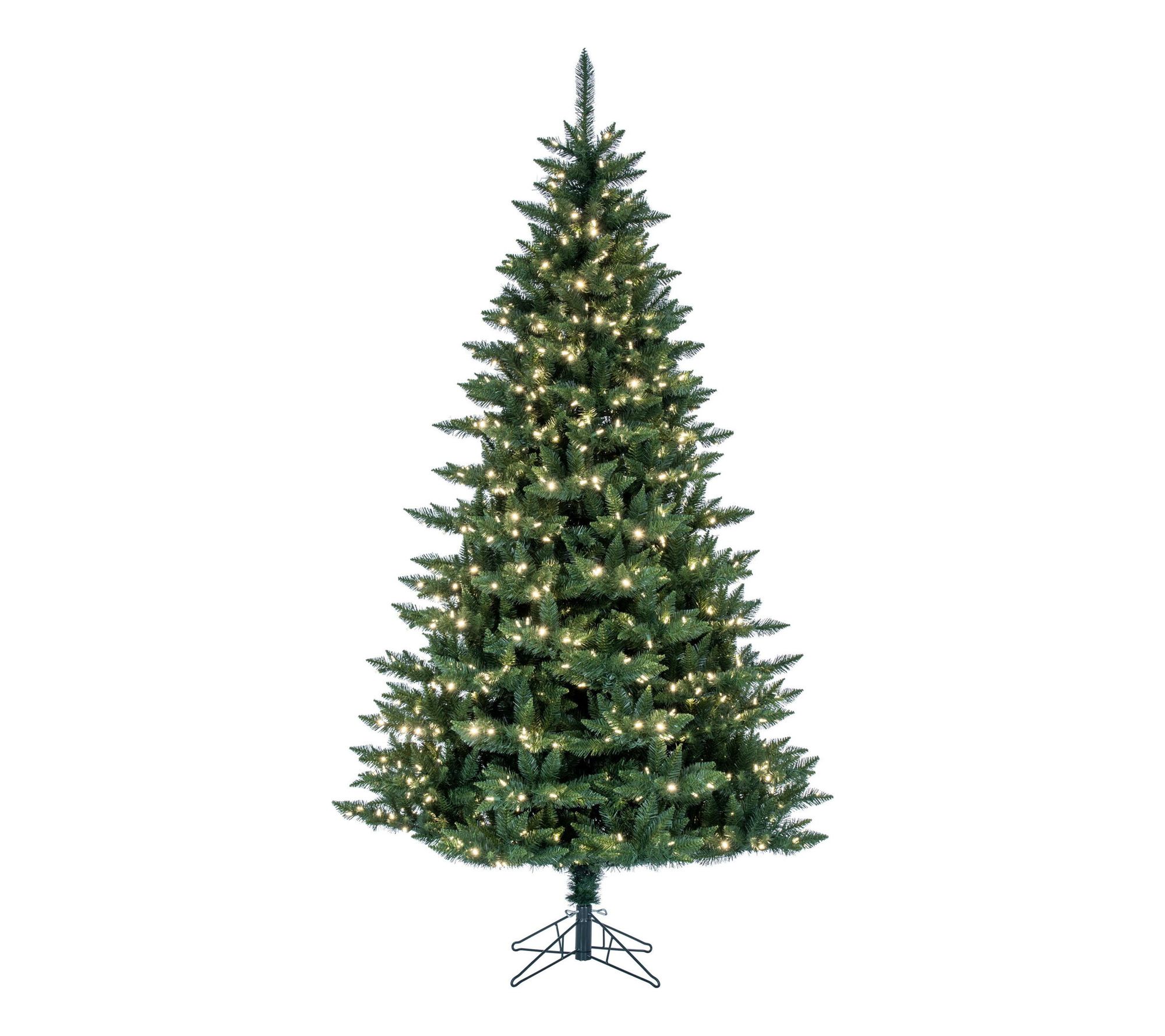 Vickerman 12' x 80" Camdon Fir LED 2100WW