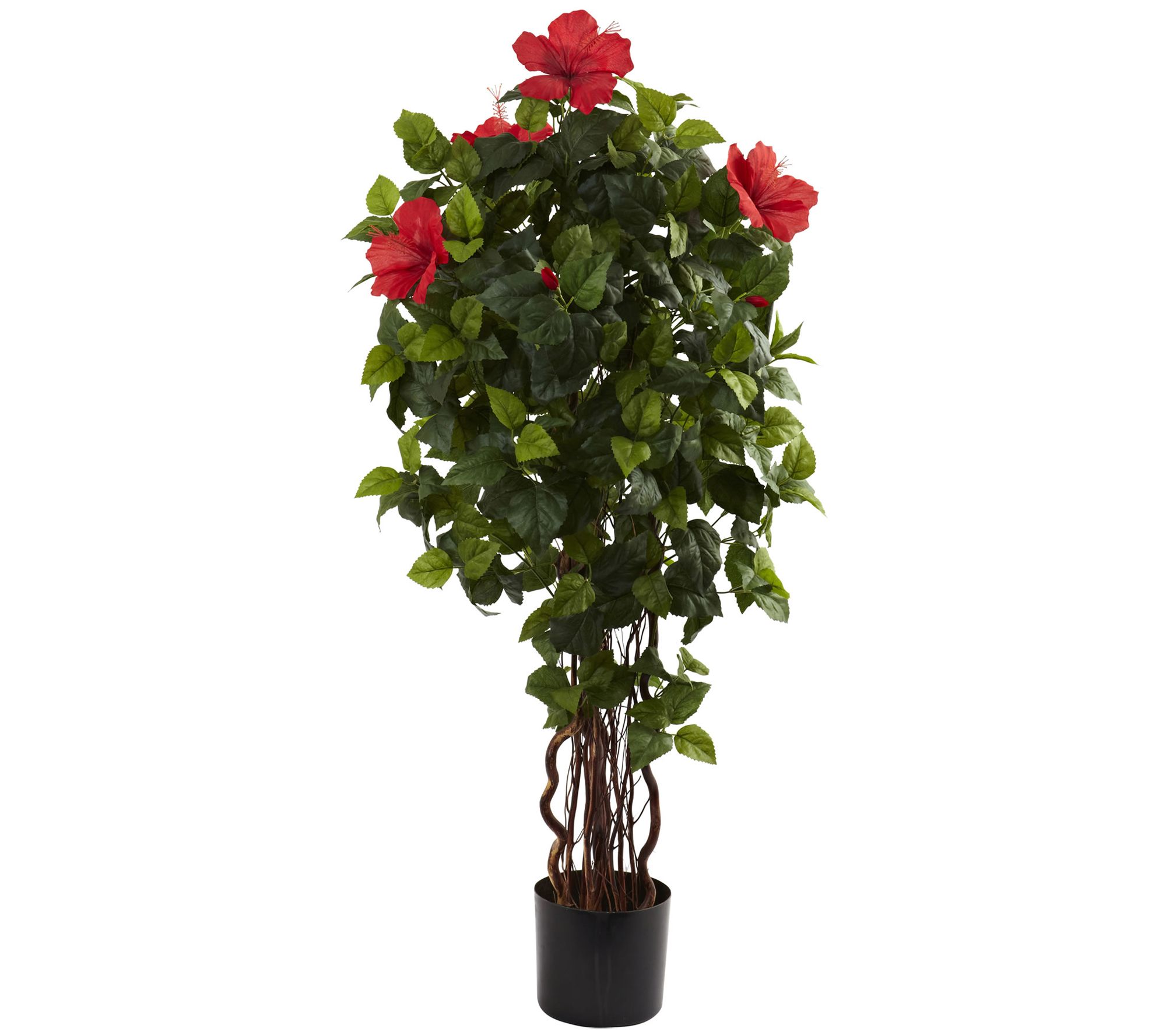 4' Hibiscus Tree by Nearly Natural - QVC.com