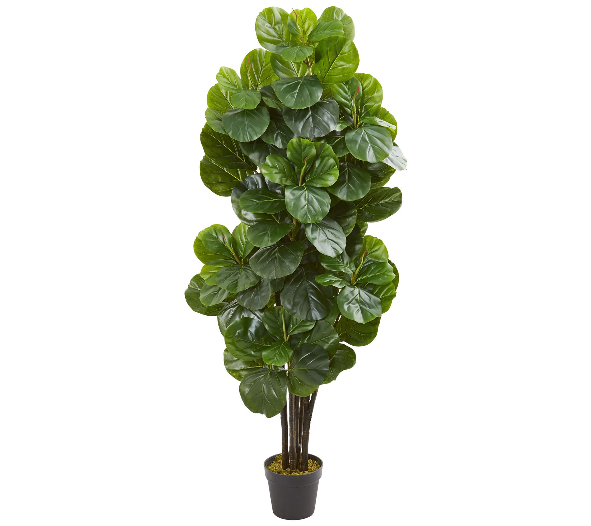 5' Fiddle Leaf Fig Artificial Tree by Nearly Natural