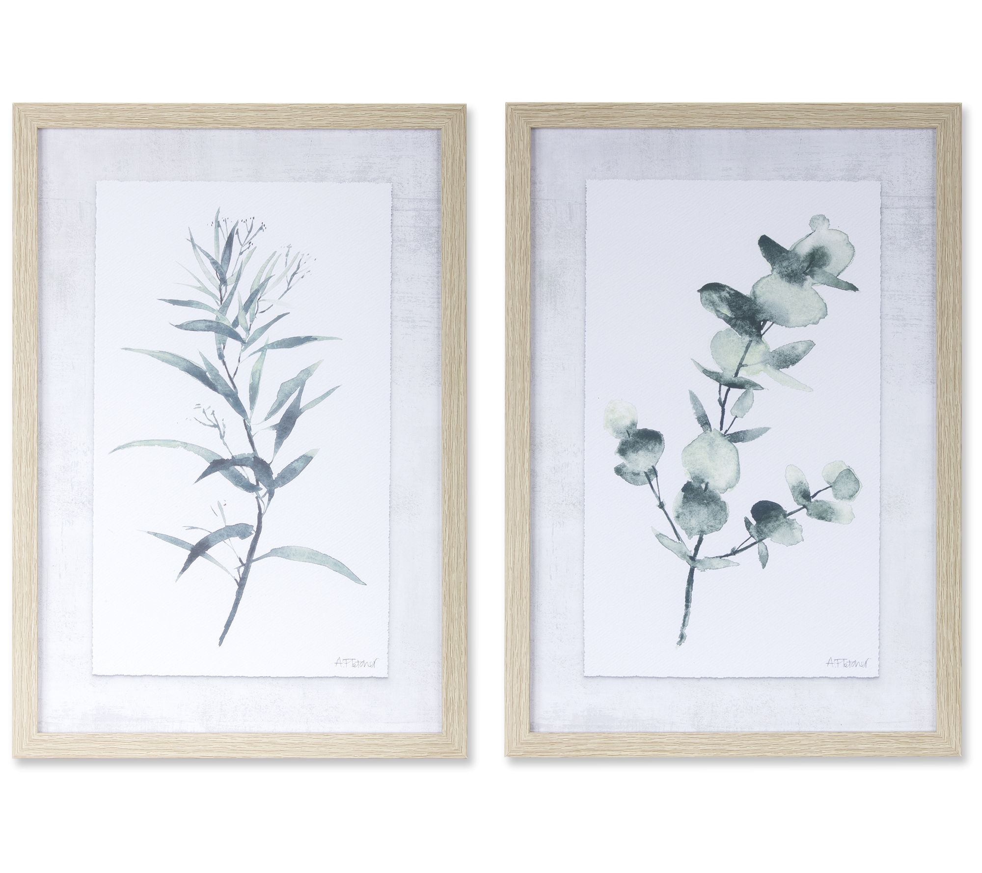 Melrose International Framed Eucalyptus Print S et of 2 - QVC.com