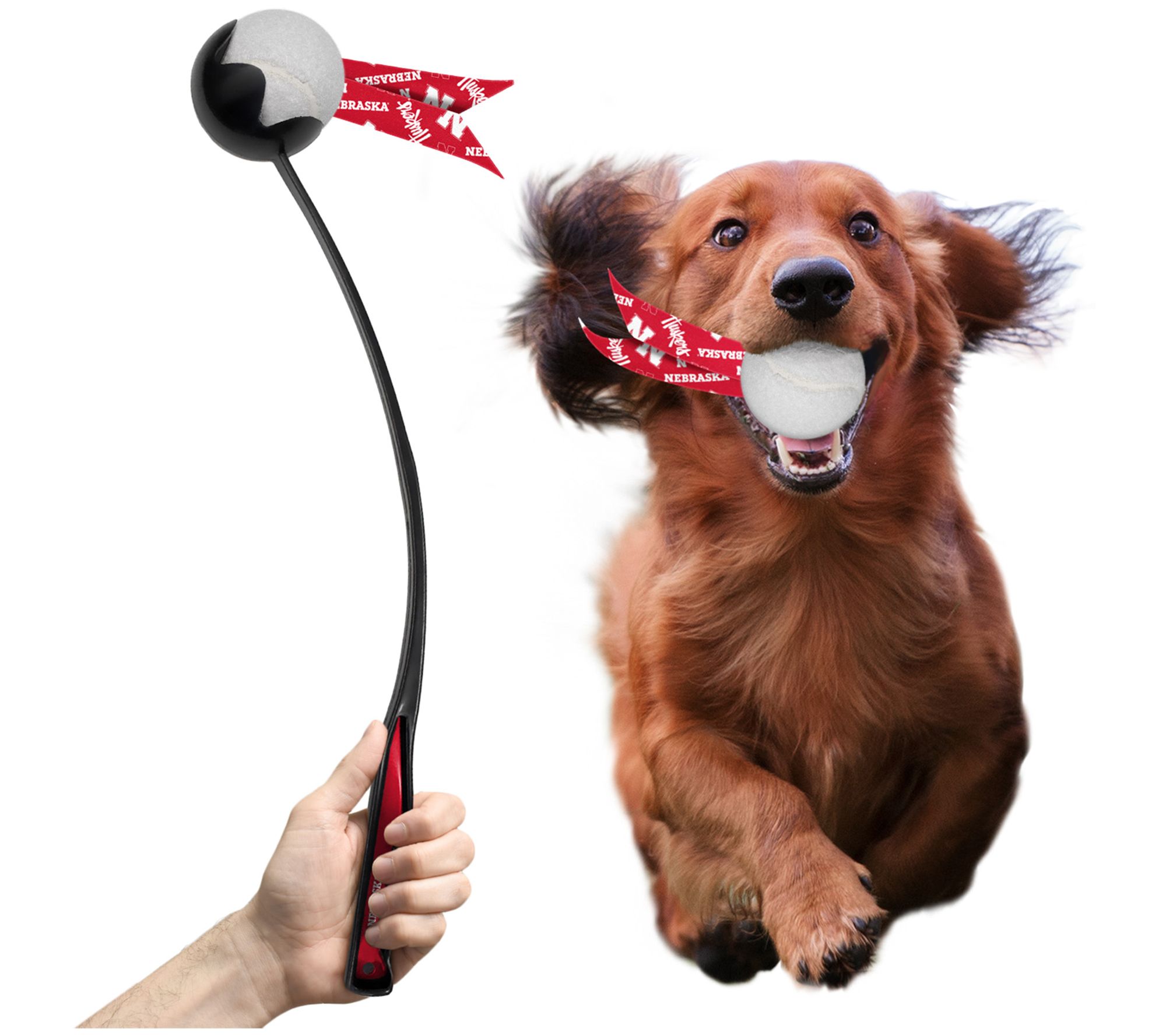 Littlearth NCAA Pet Ball Launcher