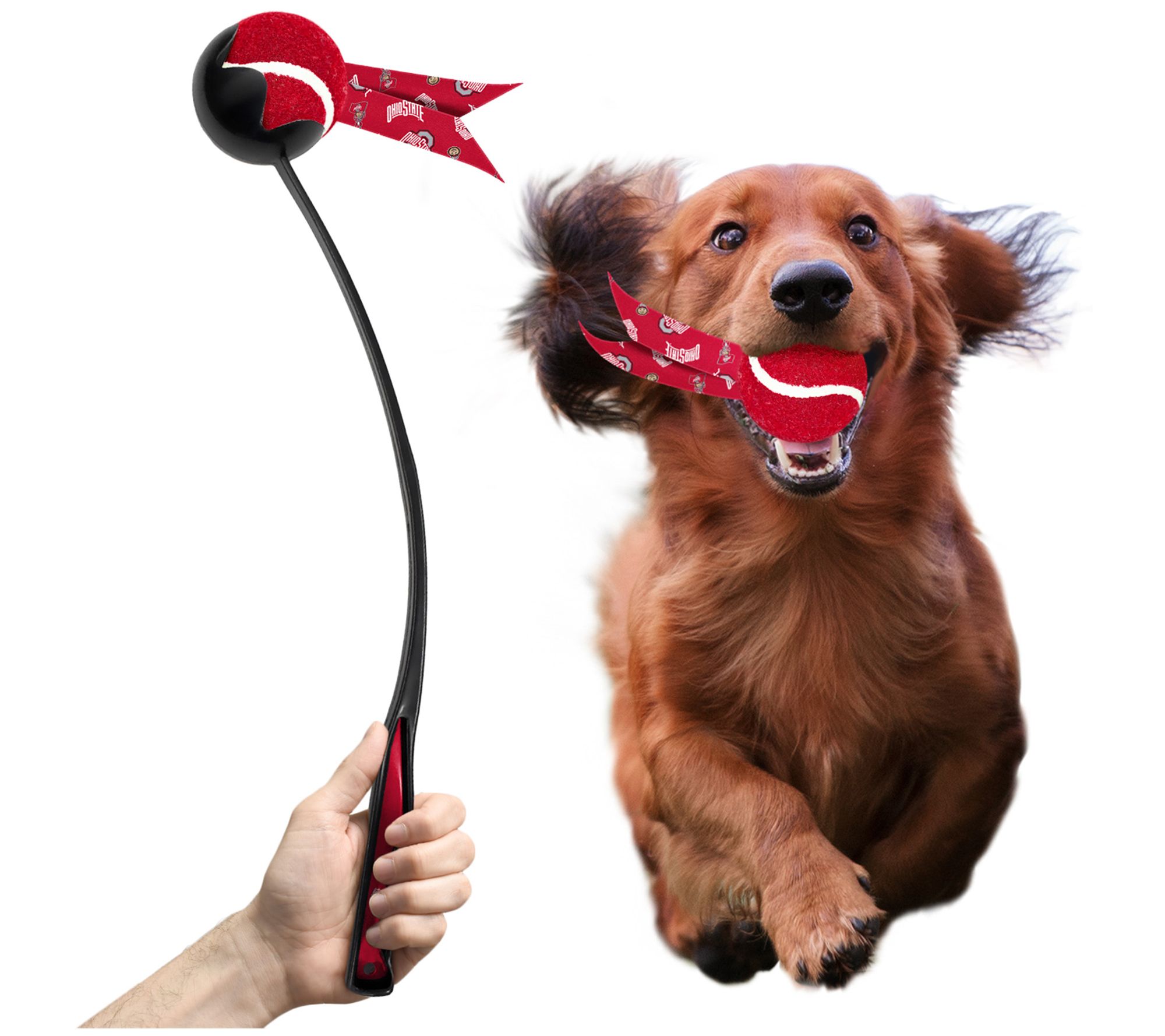 Littlearth NCAA Pet Ball Launcher