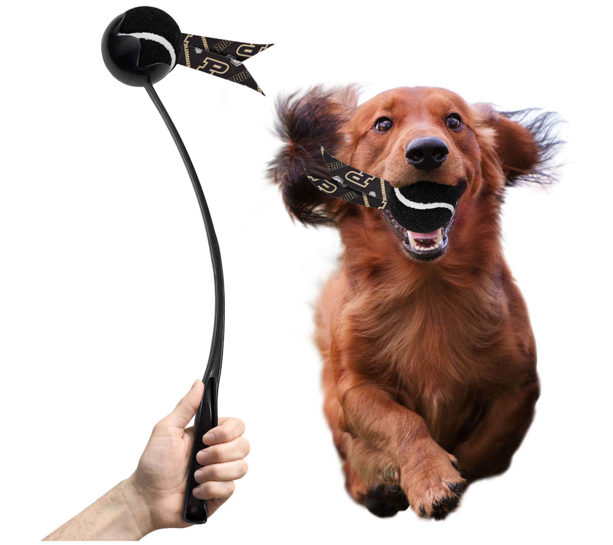 Littlearth NCAA Pet Ball Launcher