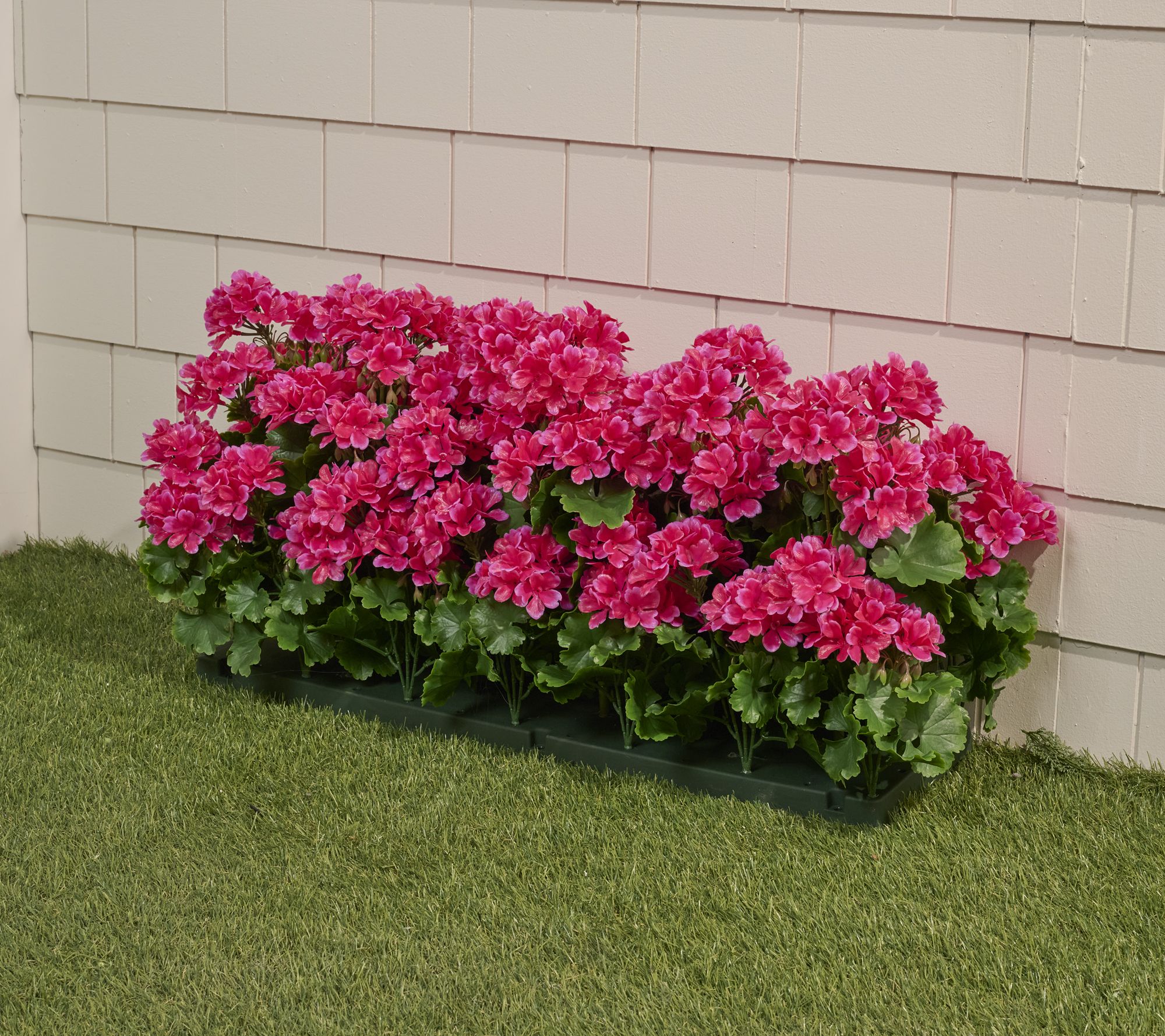 Wicker Park 36" Indoor/Outdoor Faux Geranium Shrub w/ Stakes