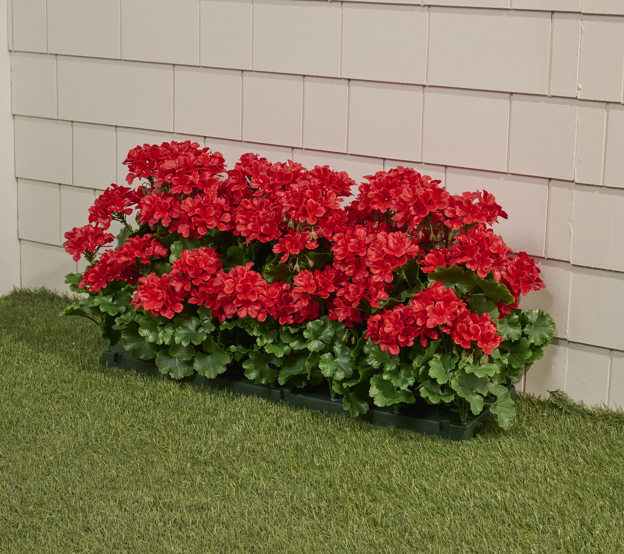 Wicker Park 36" Indoor/Outdoor Faux Geranium Shrub w/ Stakes