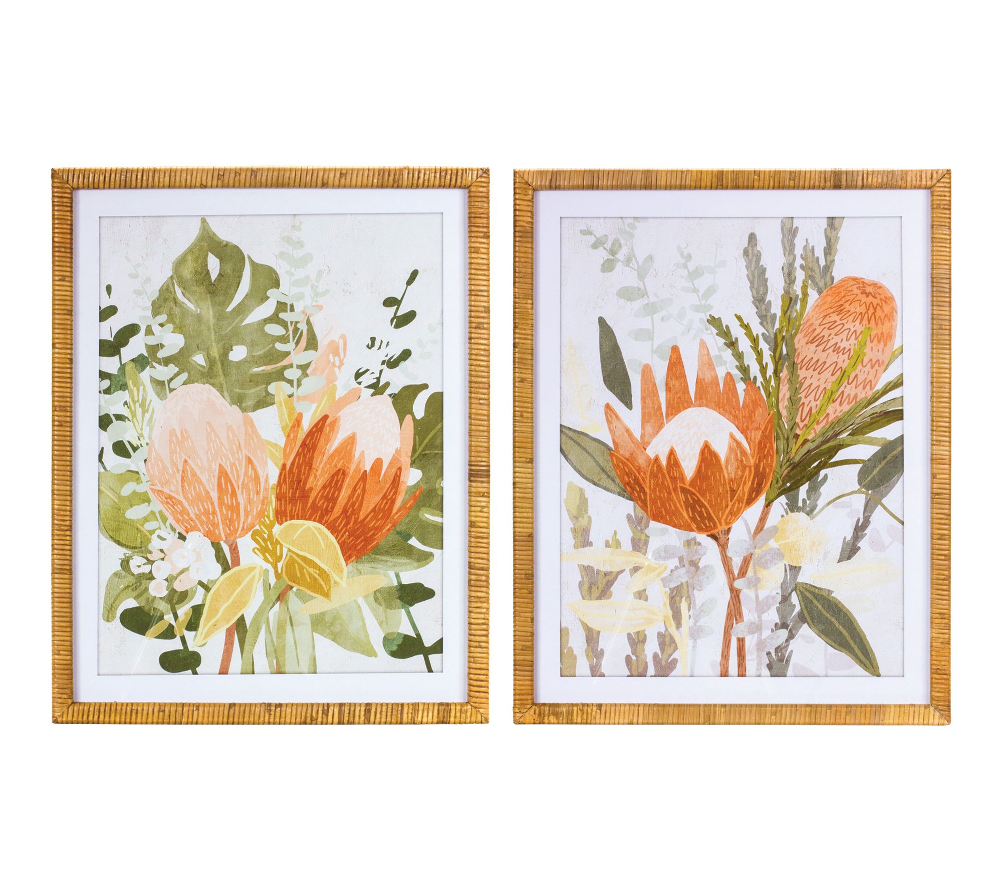 Melrose International Framed Protea Floral WallArt Set of 2