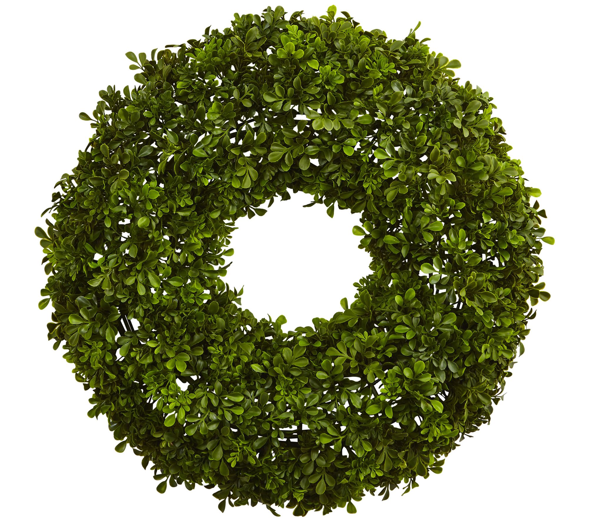 22" Boxwood Wreath by Nearly Natural