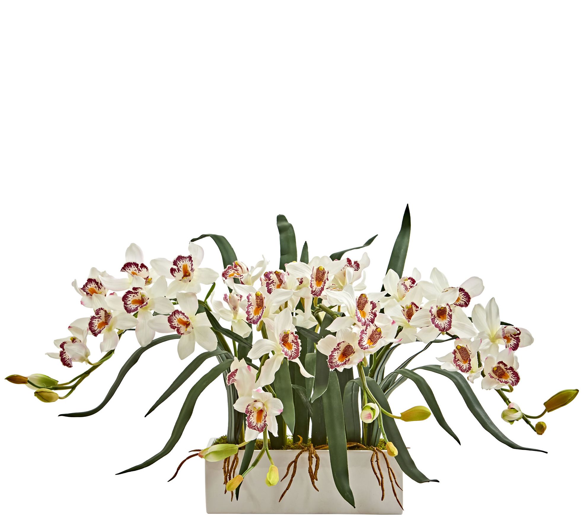 Cymbidium Arrangement in Vase by Nearly Natural
