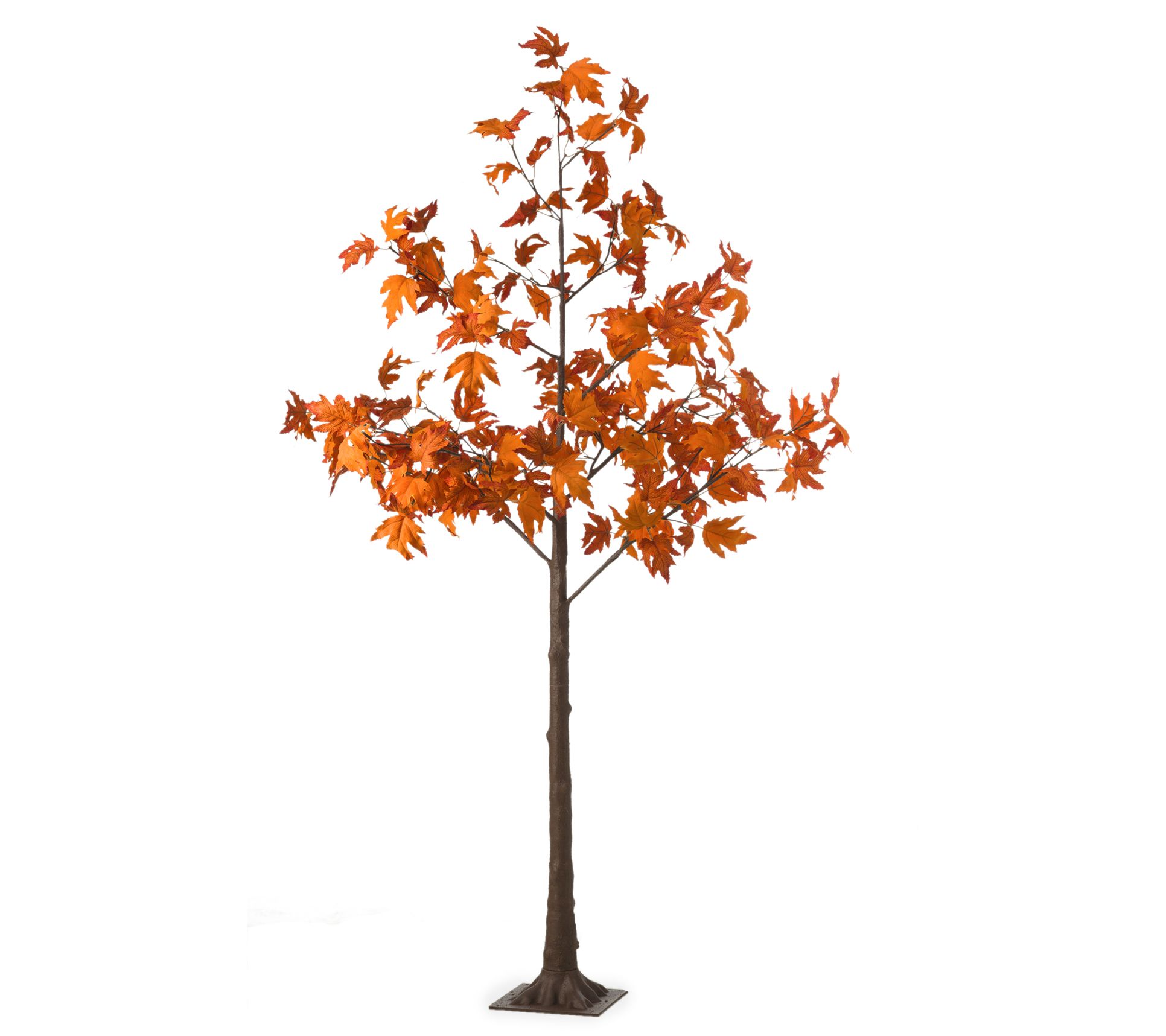 Evergreen 6' Indoor/Outdoor Maple Lighted Tree96 Lights