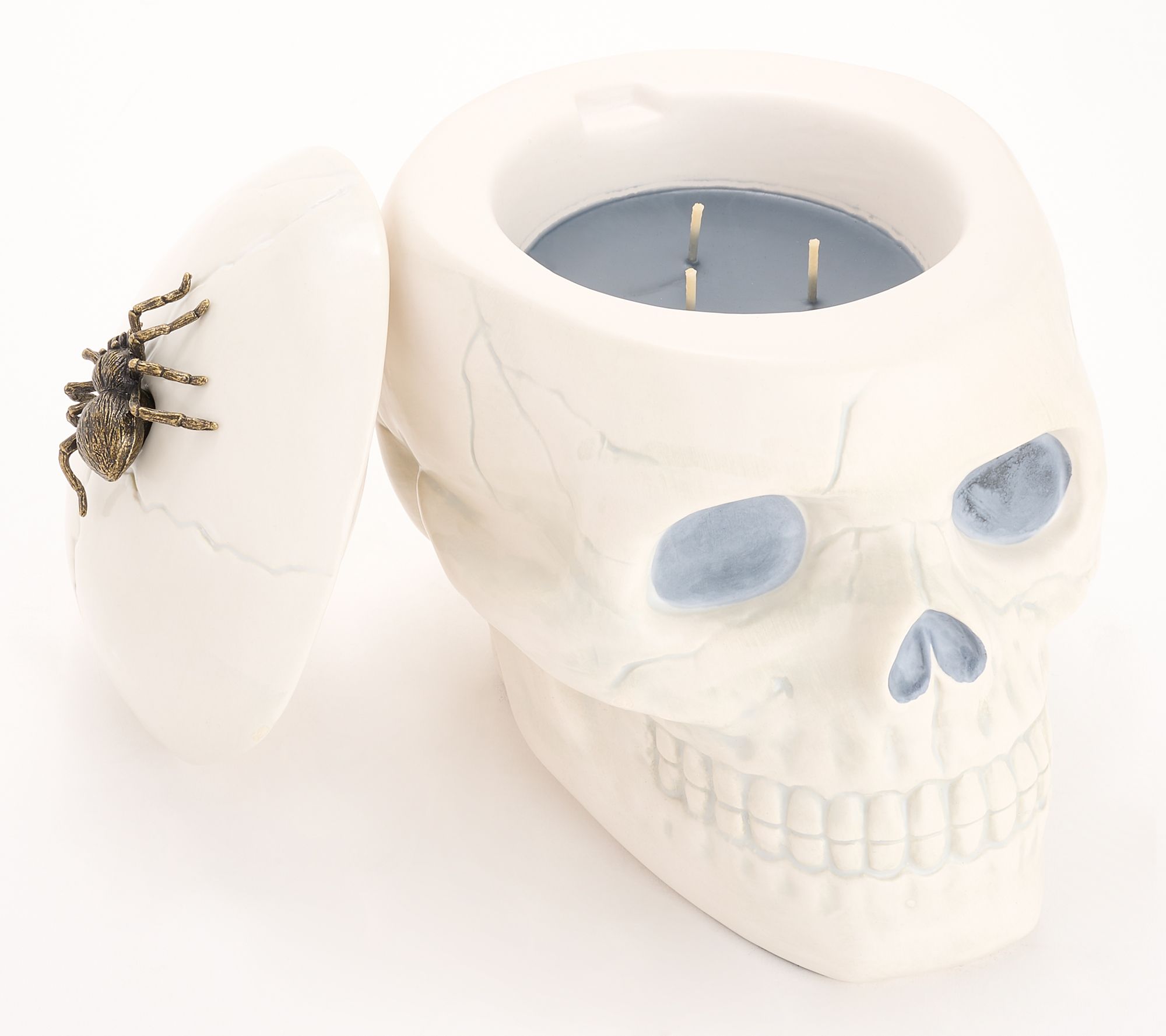 HomeWorx by Slatkin + Co. 14oz Spider Cider Skull Candle