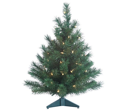 Set of Two, 2-Ft Pre-Lit Colorado Spruce by Ste rling Co.