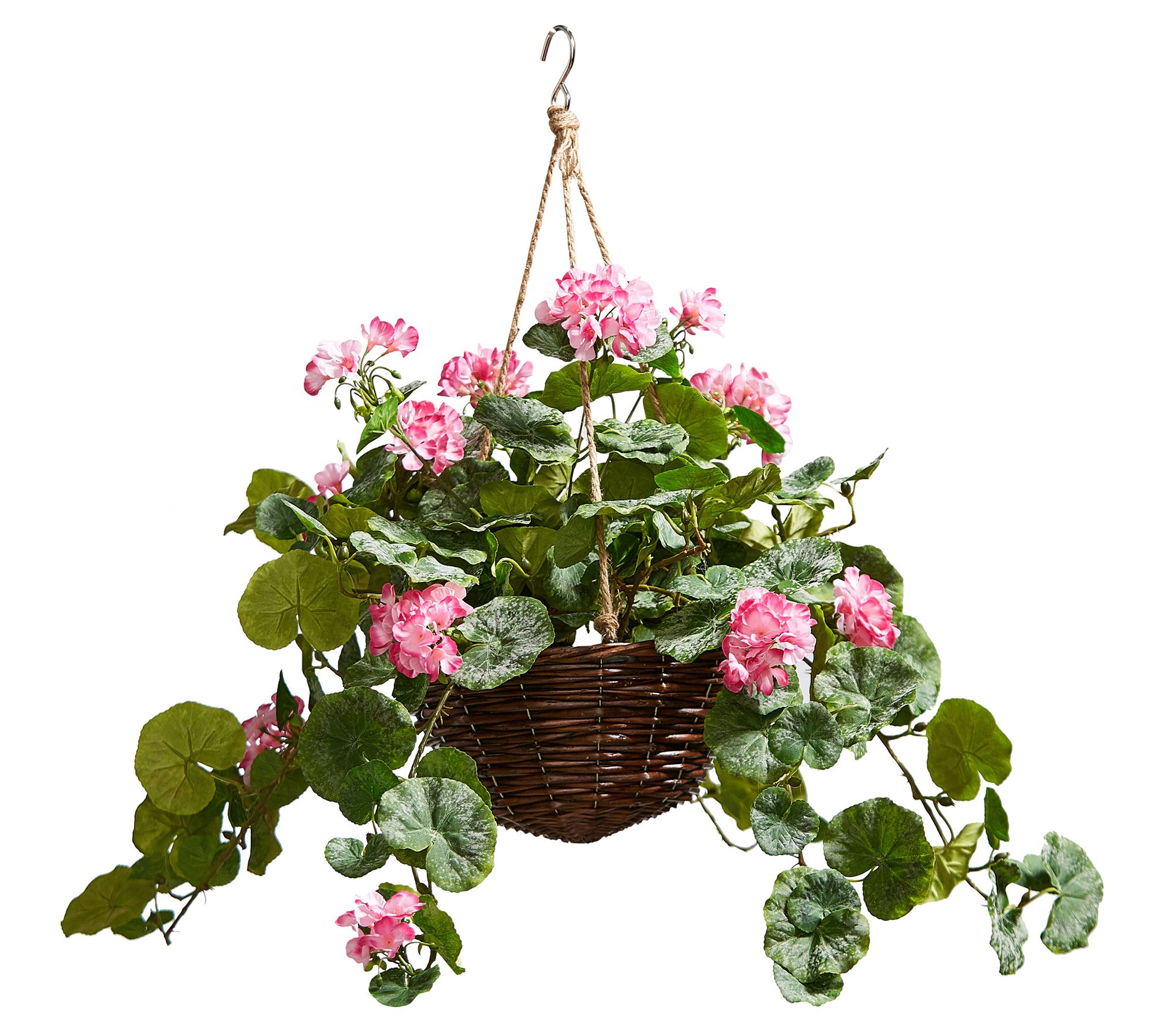 Qvc hanging baskets