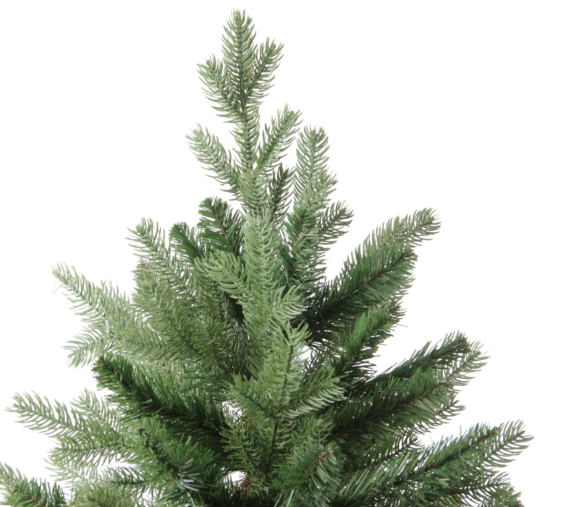 Northlight 24 Frosted Norway Pine with Pine Cones Medium Artificial  Christmas Tree, Unlit