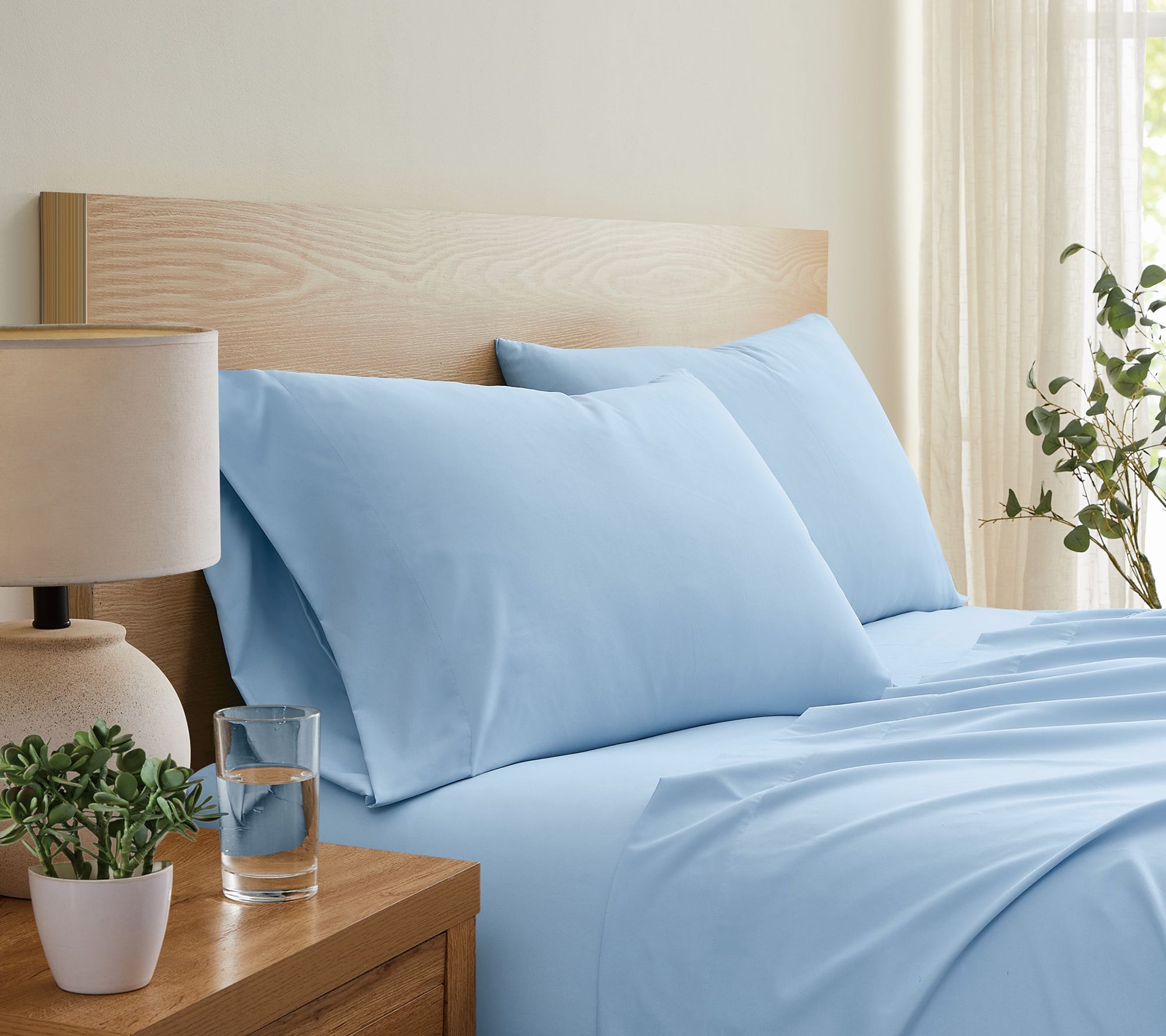 Truly Soft Everyday Queen Sheet Set