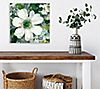 Courtside Market Anemone and Friends 16" x 16"Canvas Wall Art, 1 of 4