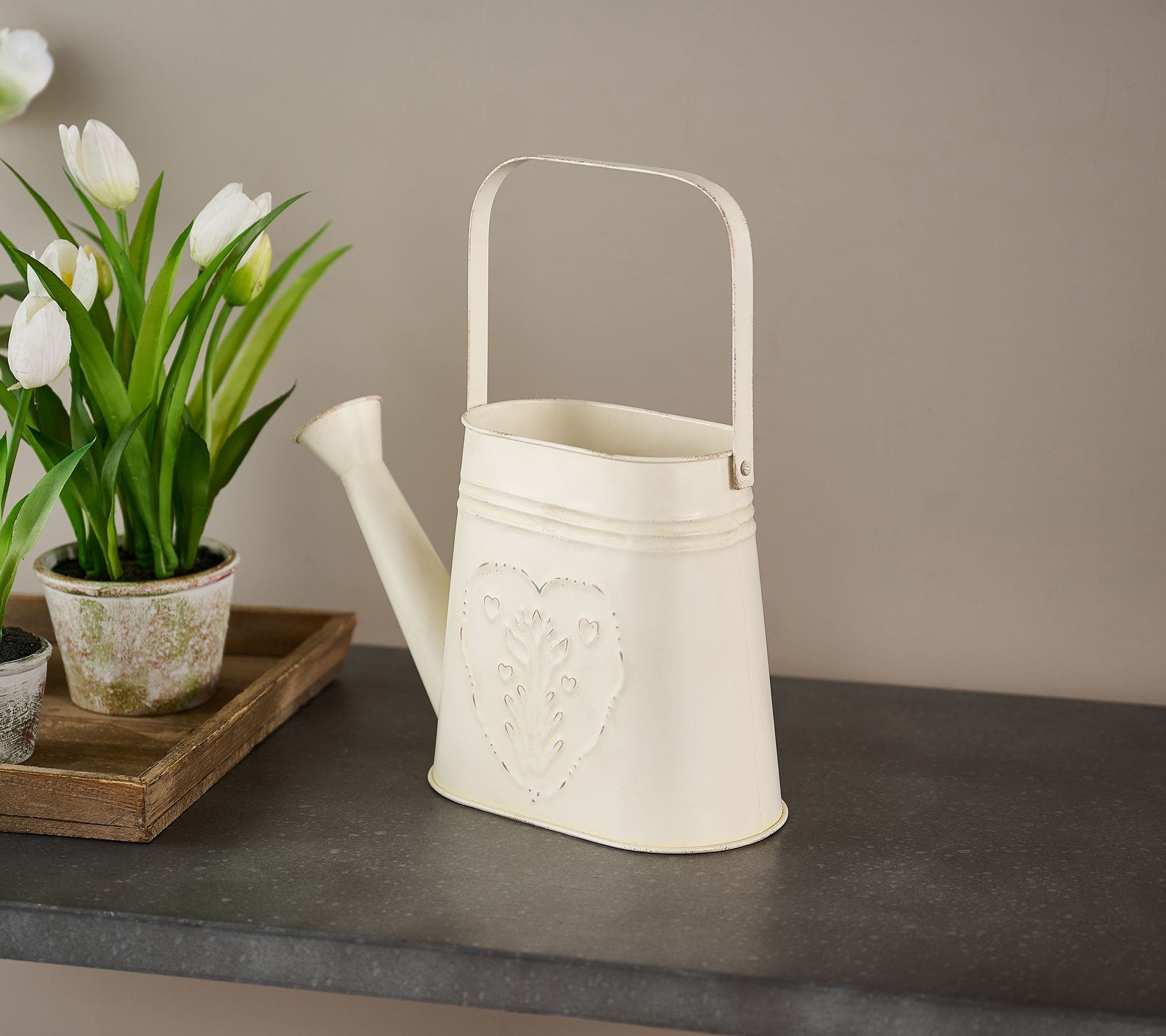 Indoor/Outdoor Metal Watering Can Planter with Handle by Valerie