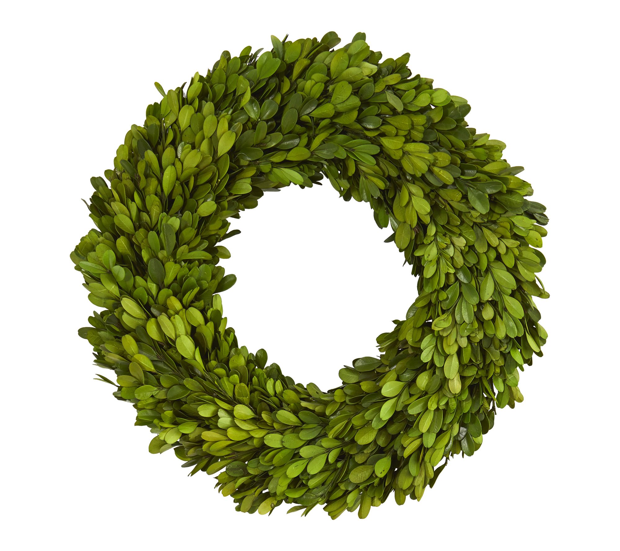Nearly Natural 14" Preserved Boxwood Wreath