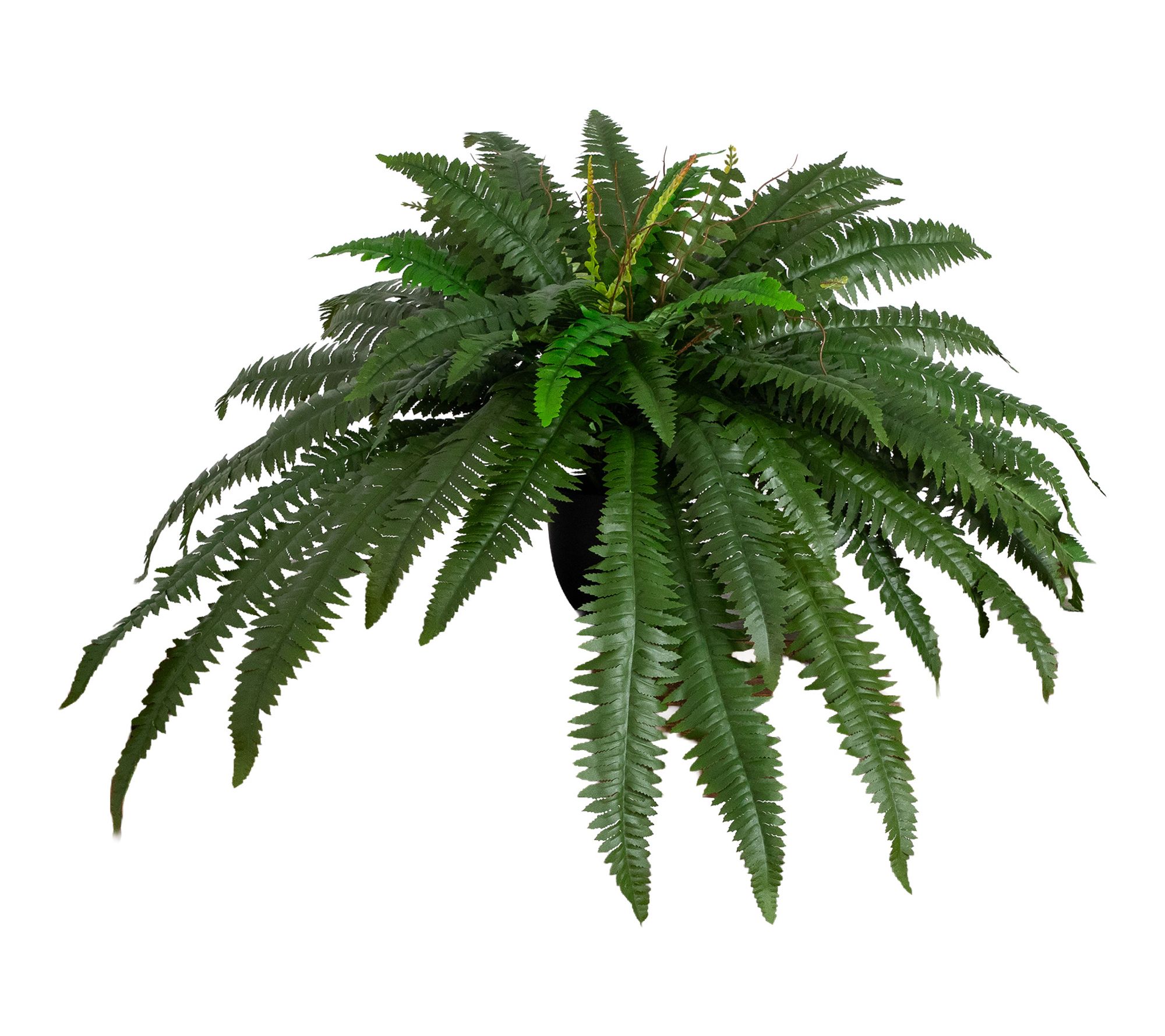 25-in Self shaped Boston Fern in Black Pot by Nearly Natural