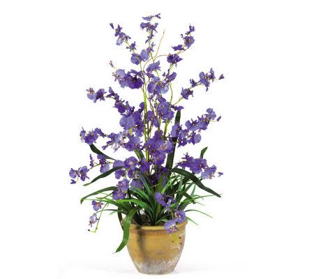 Dancing Lady Orchid Arrangement by NearlyNatural