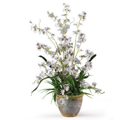 Dancing Lady Orchid Arrangement by NearlyNatural