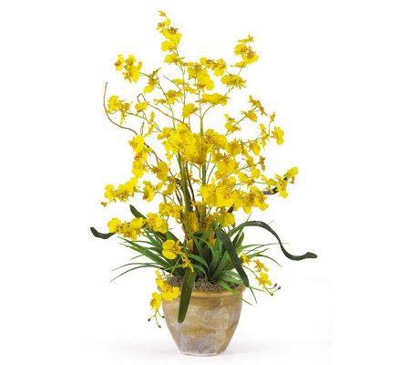 Dancing Lady Orchid Arrangement by NearlyNatural