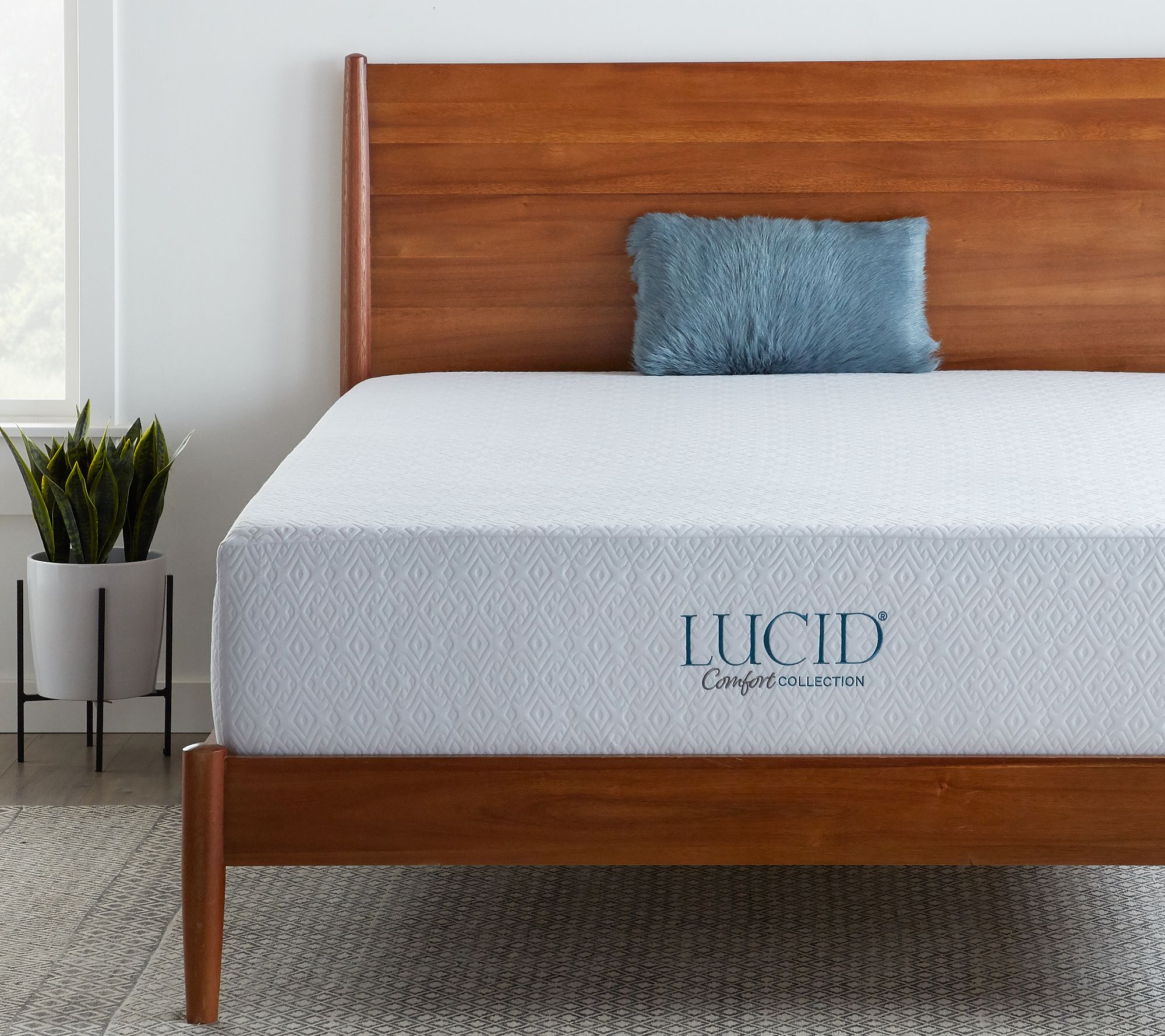 Lucid Comfort Collection 12