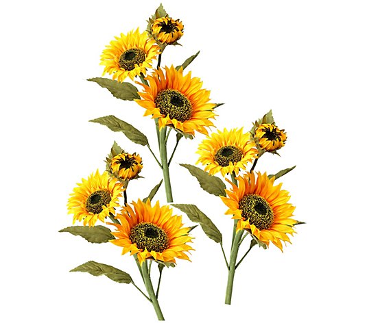 Sunflower Realistic Plastic Buttons 5 Lg 