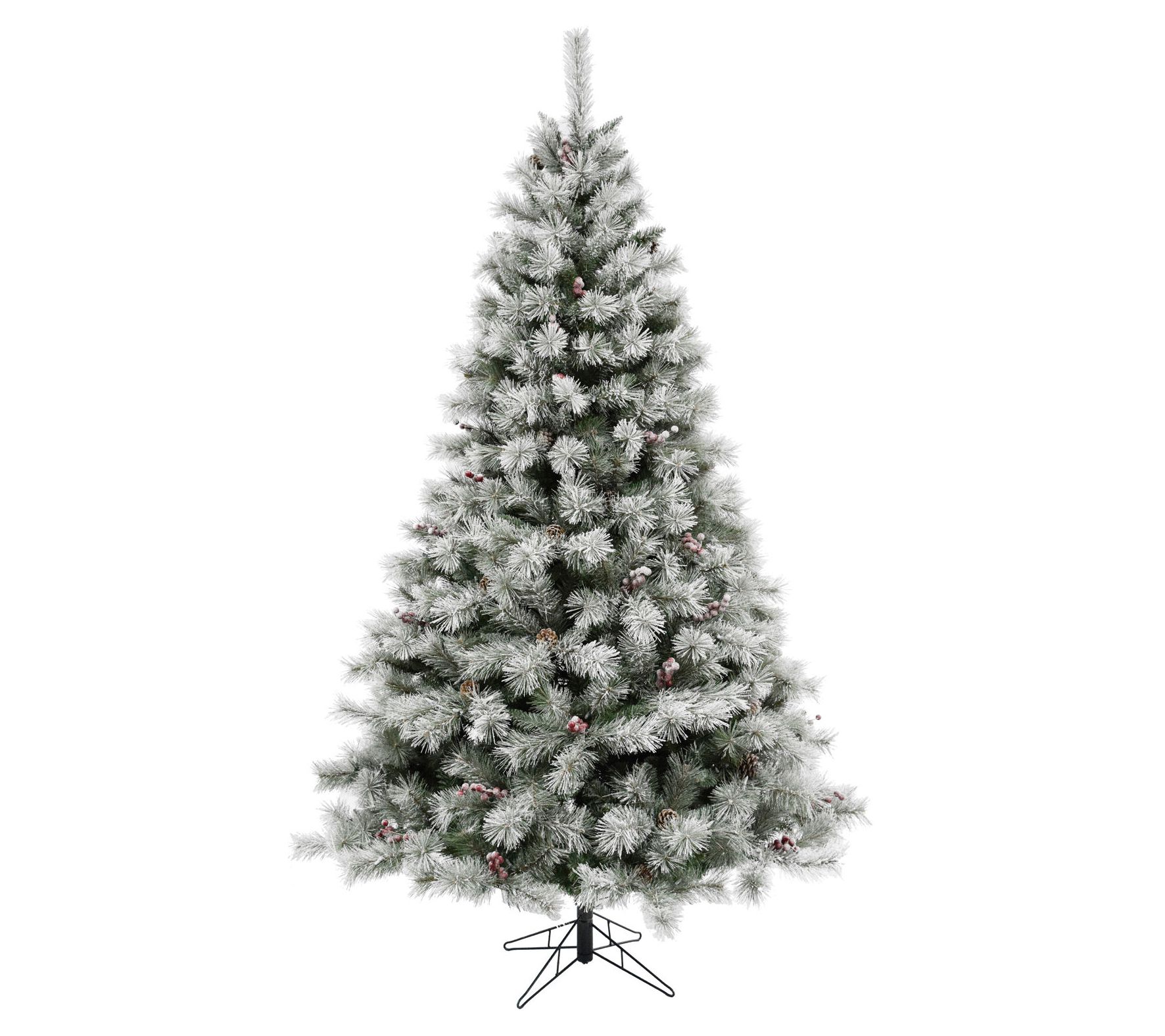 Fraser Hill Far m 6.5-Ft Homest ead Pine Froste d Christmas Tre
