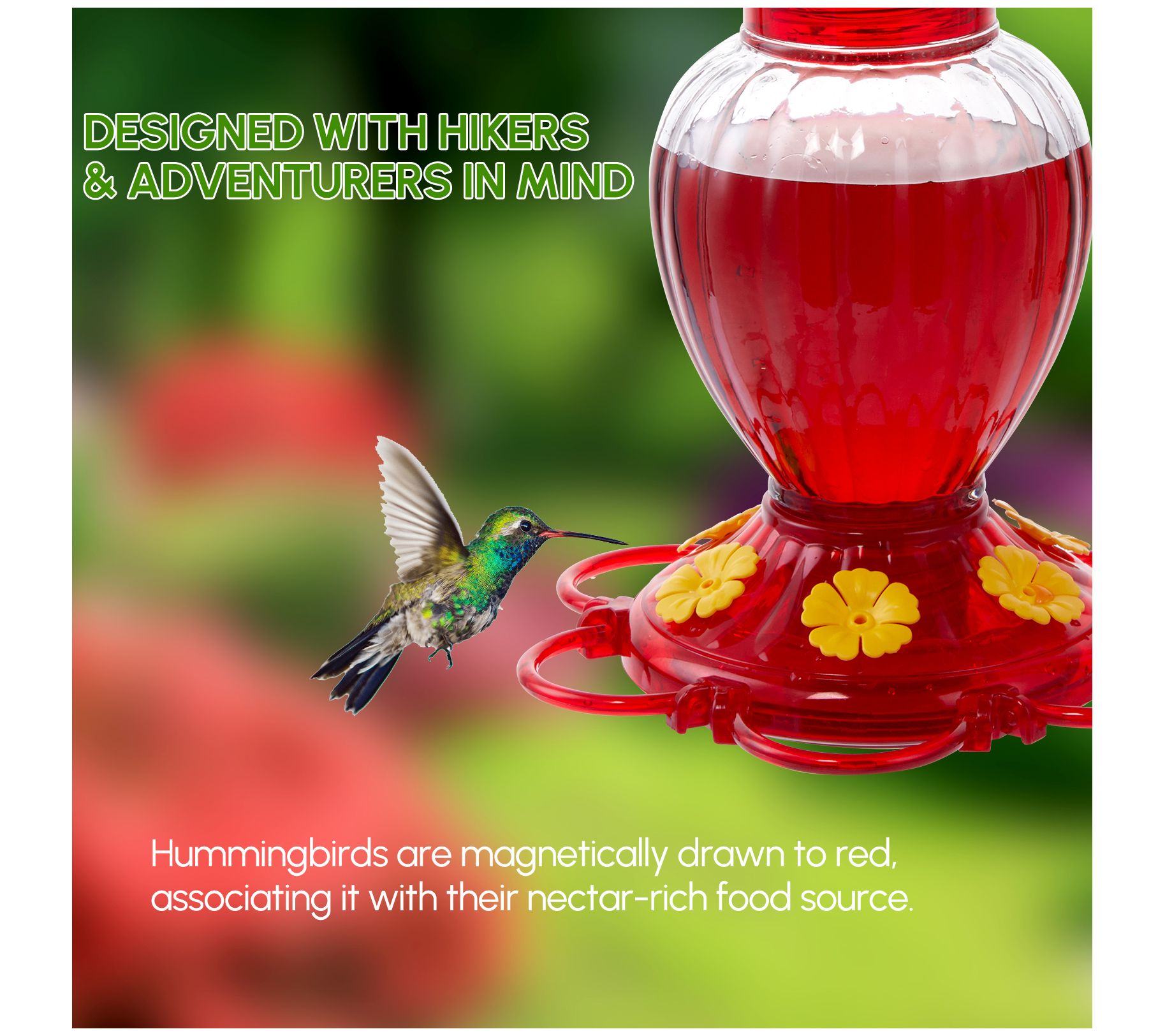 Backyard Expressions Glass Hummingbird Feeder 20 oz - QVC.com