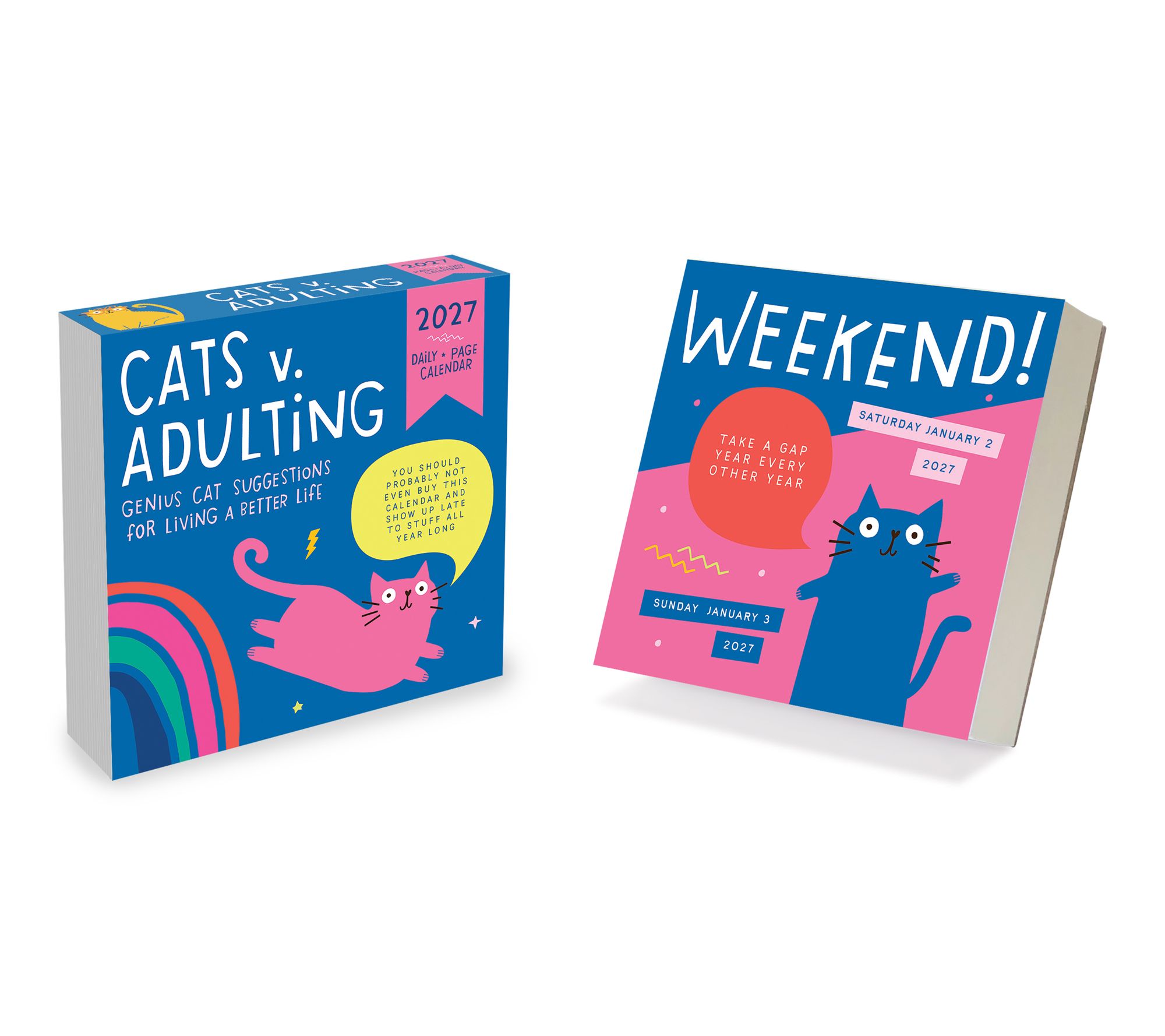 2027 Cats vs Adulting by Amy Smyth Daily Desktop Calendar