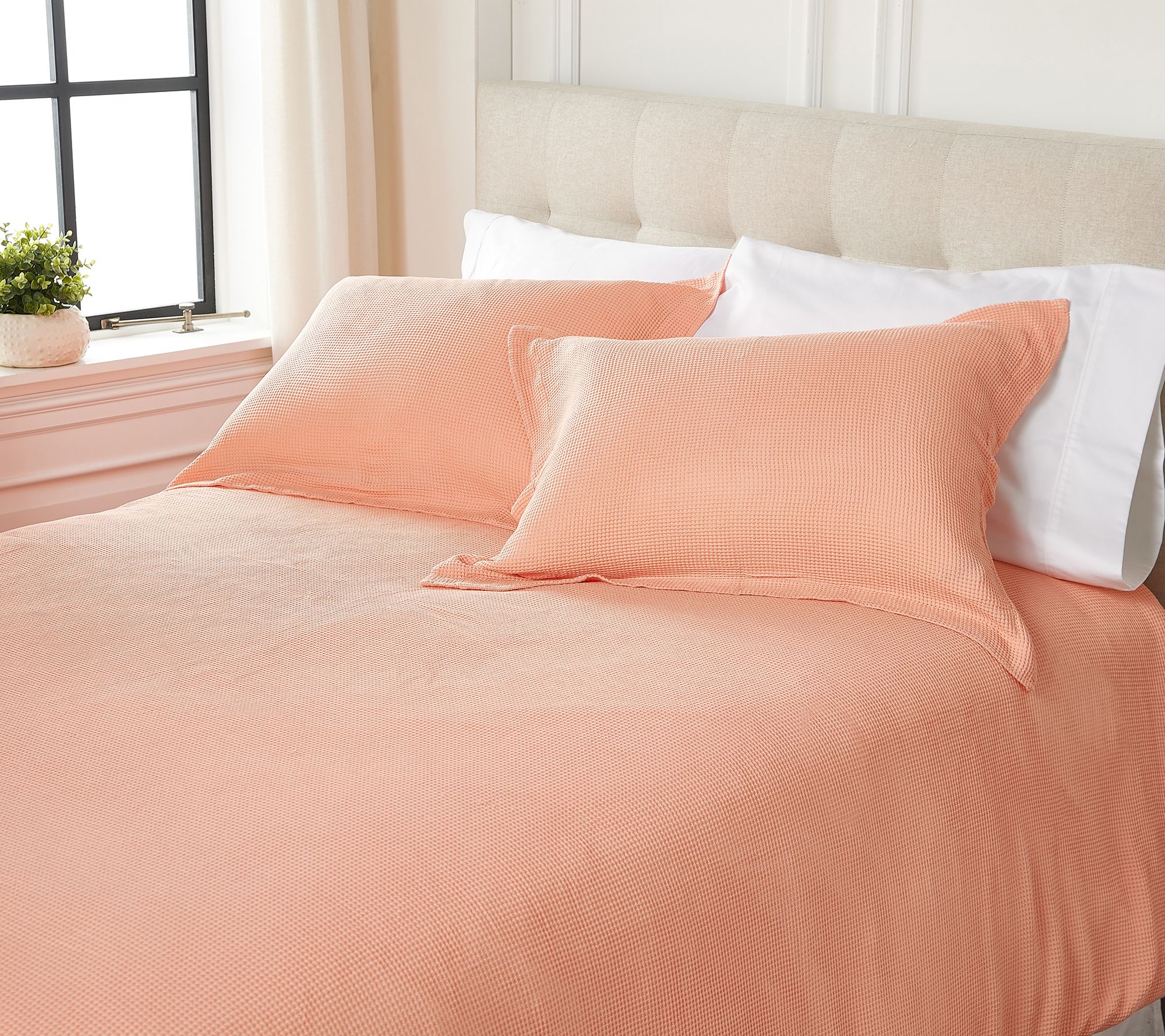 Northern Nights Willow Rayon Made from Bamboo Comforter Set