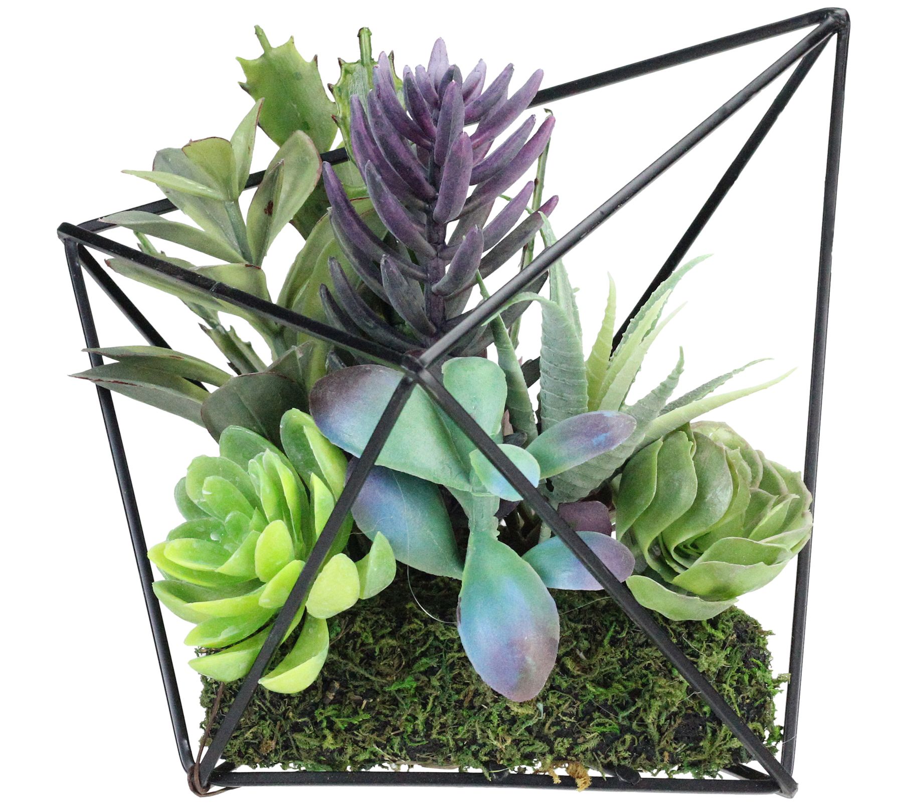 Northlight 6.75" Artificial Succulents in Diamond Metal Wire