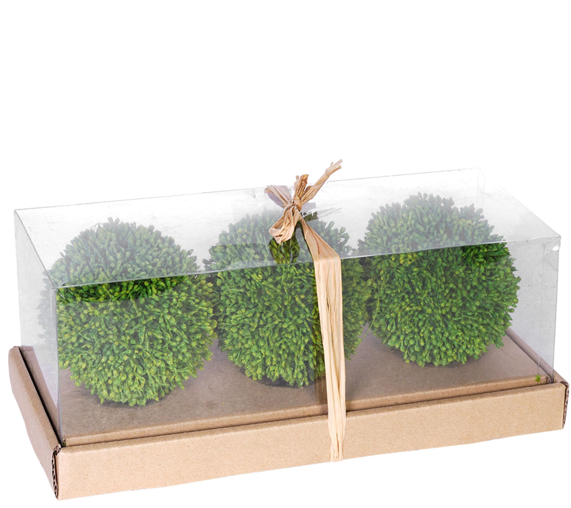 Set of Three 4" Boxwood Spheres by Valerie