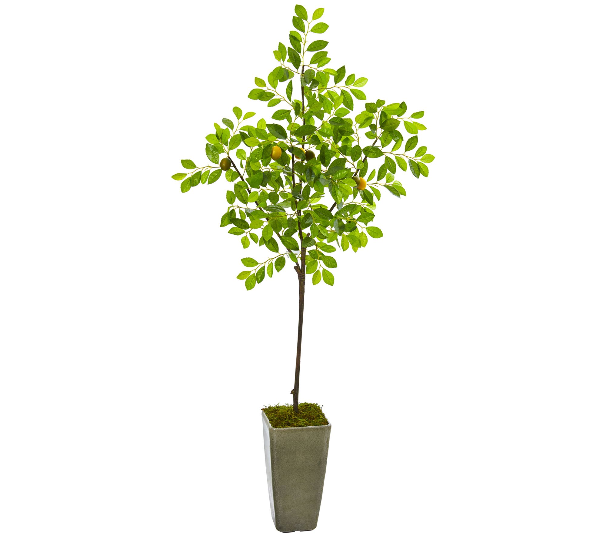 6' Lemon Tree in Olive Green Planter by NearlyNatural