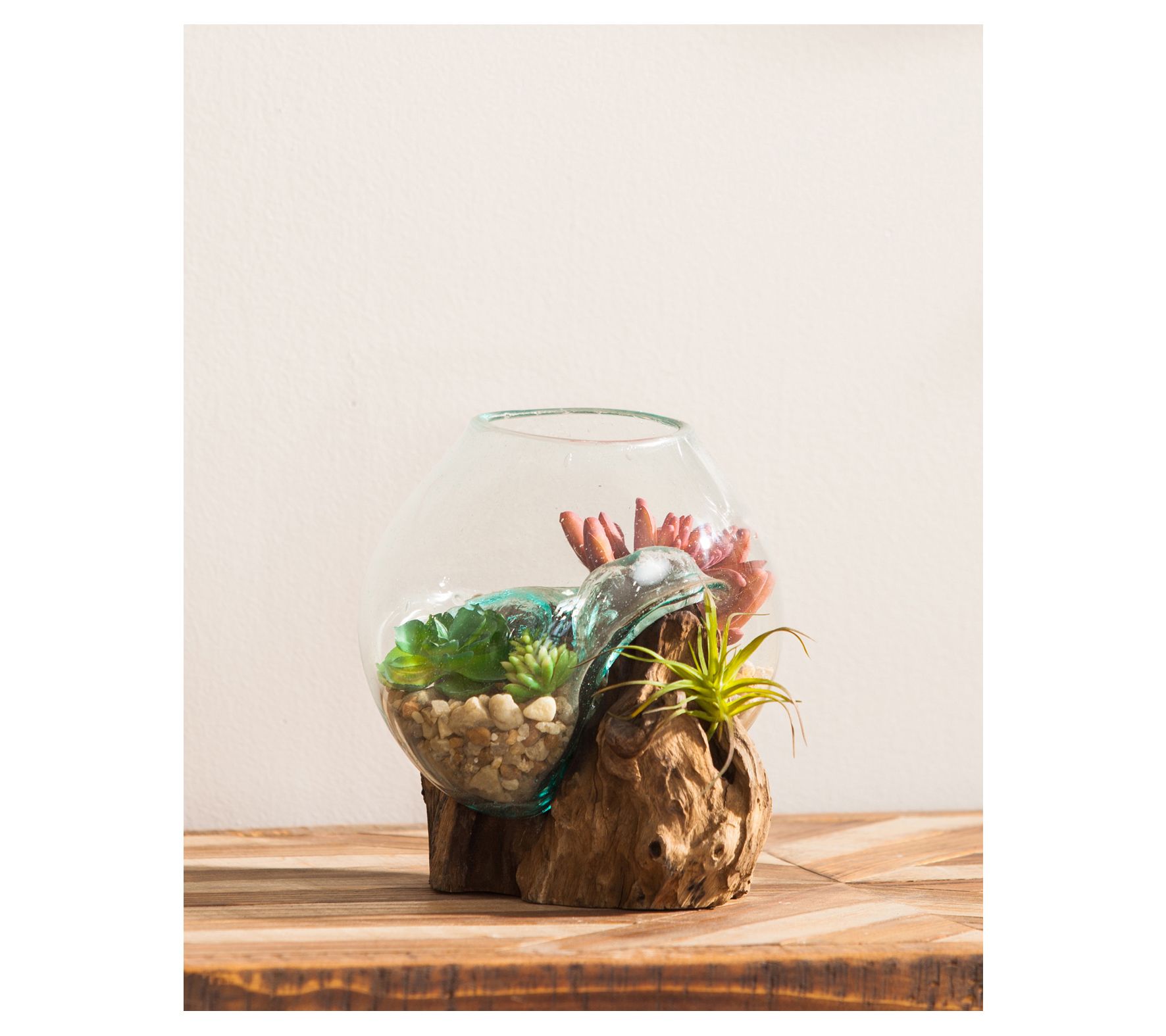 Evergreen Small Glass Planter on Driftwood