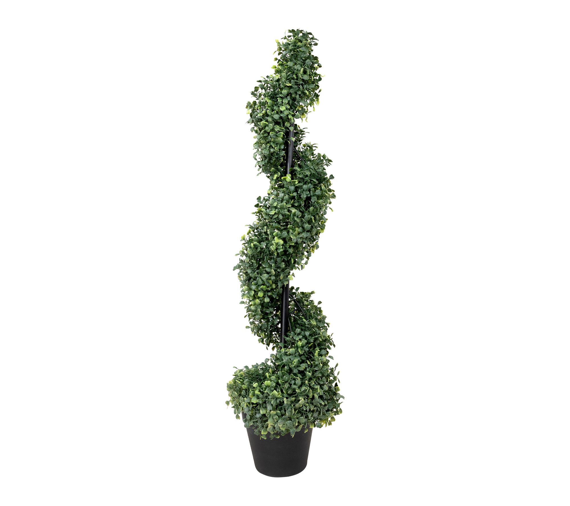 Northlight Two-Toned Boxwood Spiral Topiary Tree Pot 3'