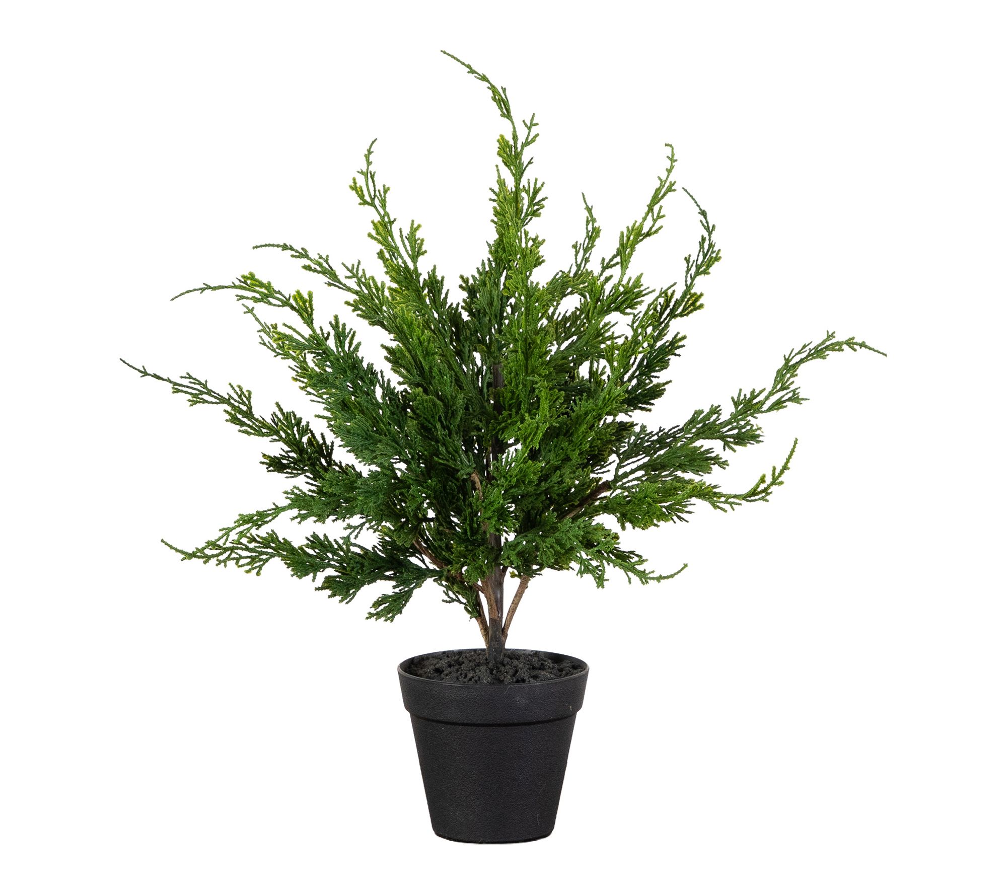 20-in Real Touch Mini Cypress Real Tree by Nearly Natural