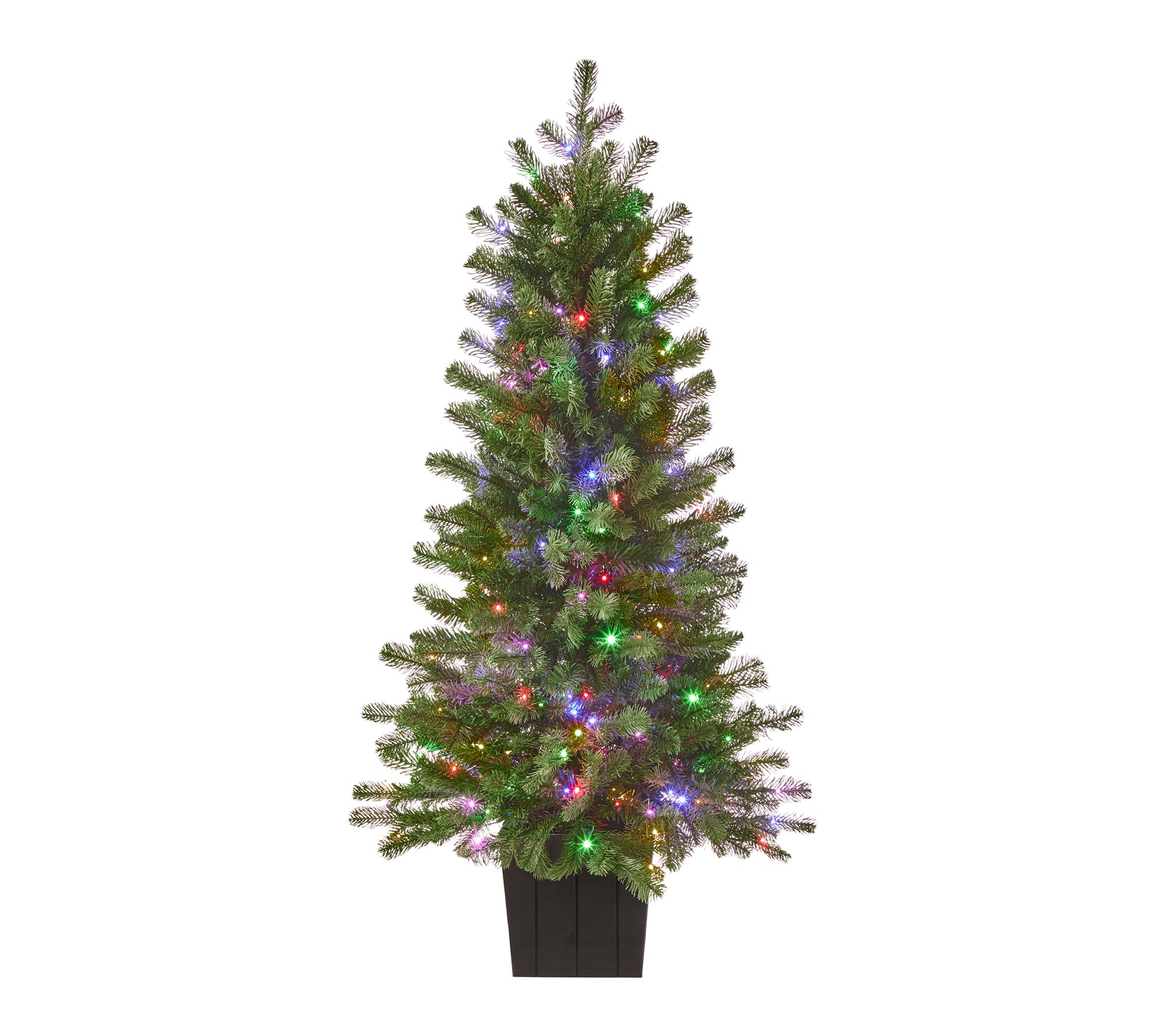 4' Dual-LED Potted Stonehill Christmas Tree by Valerie