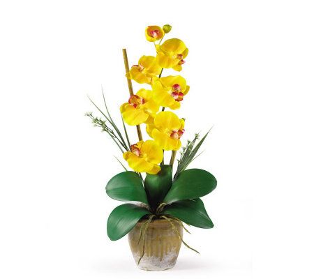 Phalaenopsis Orchid Flower Arrangement byNearlyNatural