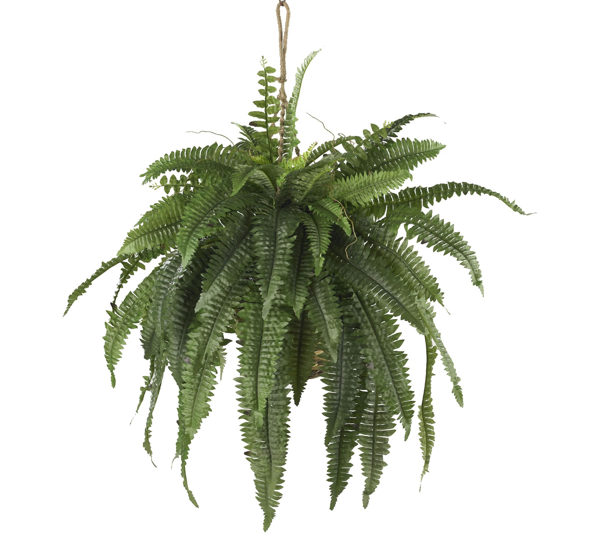 Large Boston Fern Hanging Basket by Nearly Natural