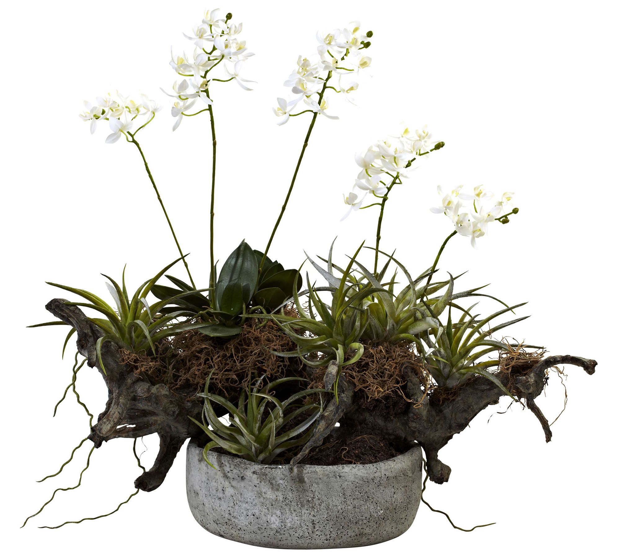 Orchid & Succulent Garden with Vase by Nearly Natural